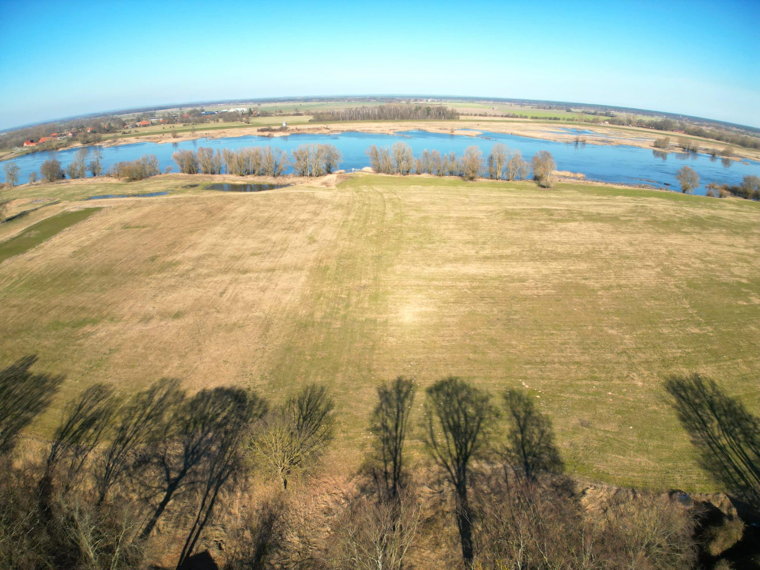 Elbtalaue Ausblick vom Grundstück